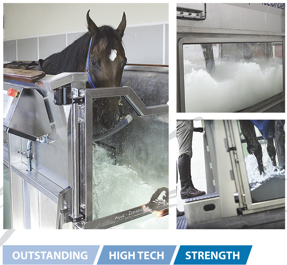 Horses Riñonera Impermeable Waterproof Exercise 